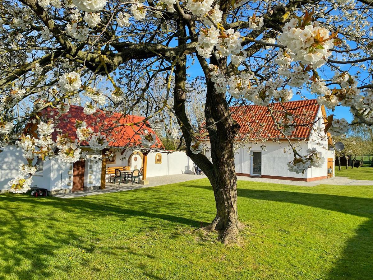 זאסניץ Ferienhaus Berta מראה חיצוני תמונה